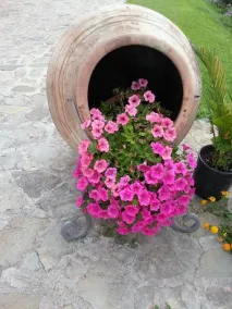 Agri - Image 3