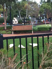 Sydney Executive Garden Apartments - Image 2