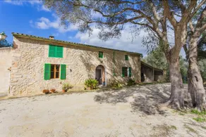 Finca Llampí - Image 3