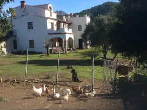Il Conte B&B - Image 3