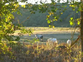 Hotel Rural La Pradera - Image 5