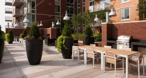 Global Luxury Suites at Spring Hill - Image 4