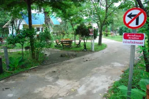 Baanraiingdoi - Image 4