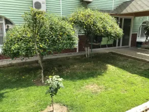Kisikpet Hotel - Image 3