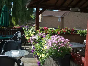 The Stilton Cheese Inn - B&B - Image 3