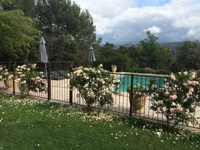 La Bastide de Soubeyras - Image 4