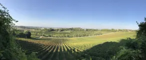 Fattoria Paradiso - Image 4