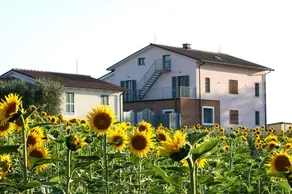 One bedroom appartement with shared pool enclosed garden and wifi at Montecastrilli - Image 3