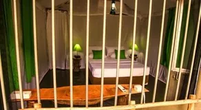Forest Glen Bungalow - Dambulla - Image 3