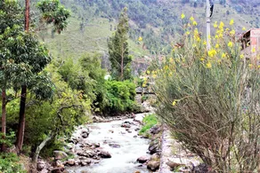 Asiriy Guest House - Image 3