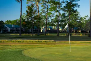 Crown Resorts at Hickory Hills - Image 2