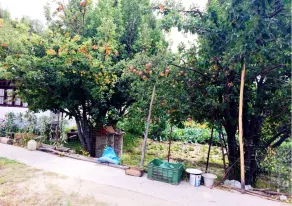 Lharje Resort - Image 3