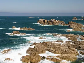 Modern House in Brittany Near the Pink Granite Coast - Image 4