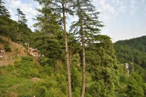 Hotel Dogra Residency - Image 4