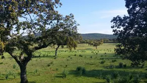 Villa With 8 Bedrooms in Mirandilla, With Wonderful Mountain View, Pri - Image 4