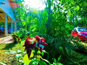 New Sigiri Terrace Hotel - Image 5