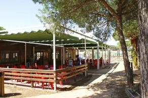 Camping Doñana - Playa - Image 4