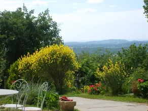 Oliviers Chateauneuf by Gites de France - Image 3