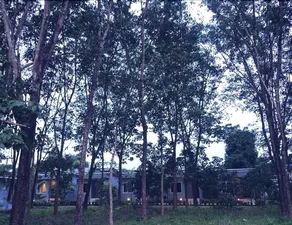 Saiyuan Garden Resort - Image 2