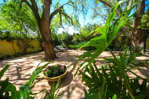 Hunneyball House - Image 3
