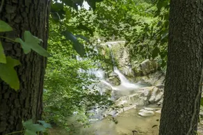 Molino Sant'Antimo - Image 4