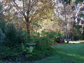 Canterbury Cottage Northcliffe - Image 4