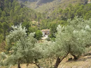 Hospederia Las Cañadillas - Image 4