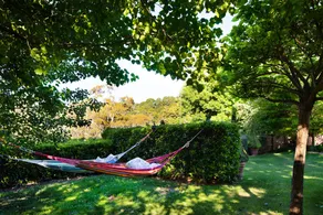 Hepburn View - Image 4