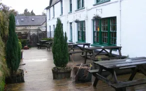 The Forest Inn - Image 3