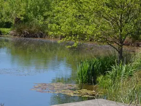 Old House in Small Hamlet, in Full Nature, With Pond, Very Calm - Image 3