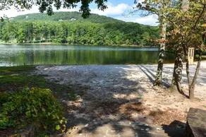 Lakeview Bliss - Image 2