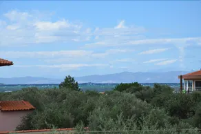 Amarilia Studios - Image 4