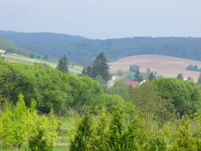 Misefa Kastély - Image 3