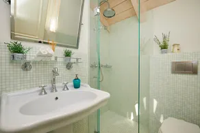 House Agave - Image 2