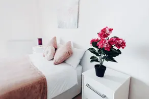 Royal Modern Apartment - Image 2