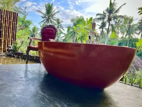 Jungle Lotus Villas - Image 2