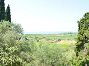 Collina Lagomare - Image 3
