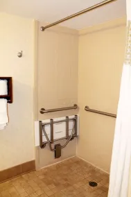 Hampton Inn Savannah-Historic District - Image 4