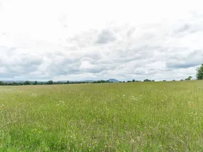 Sutherlands Drift - Image 5