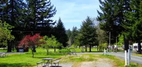 Redwood Meadows RV Resort - Image 5