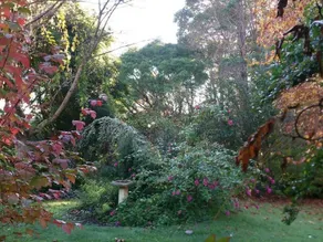 Canterbury Cottage Northcliffe - Image 3