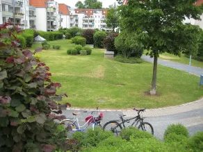 Kamelienweg Dresden in Dresden - Image 3