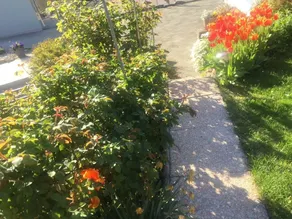 BnB Parisod - Image 5