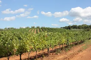 Agriturismo Valentini - Image 2