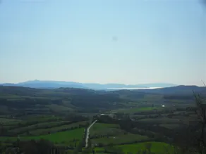 B&B 8380 Miracolle - Image 5