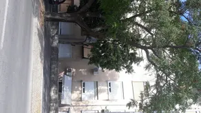 Marino - Image 5