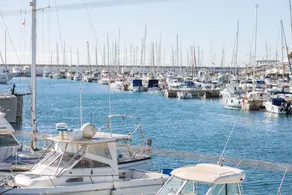 Paramola - Image 5