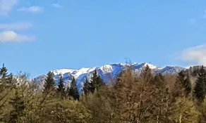 Dumbrava Soarelui - Image 3