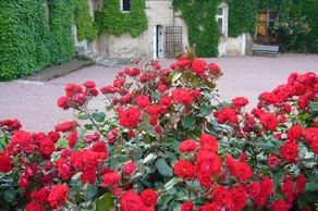 Château de Touvois - Image 4