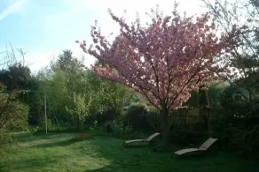 Le Clos Tilia - Image 2
